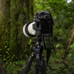 Sony Alpha 7R V Body - Image 6