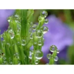 OM System Tough TG-7 Negro - Image 9